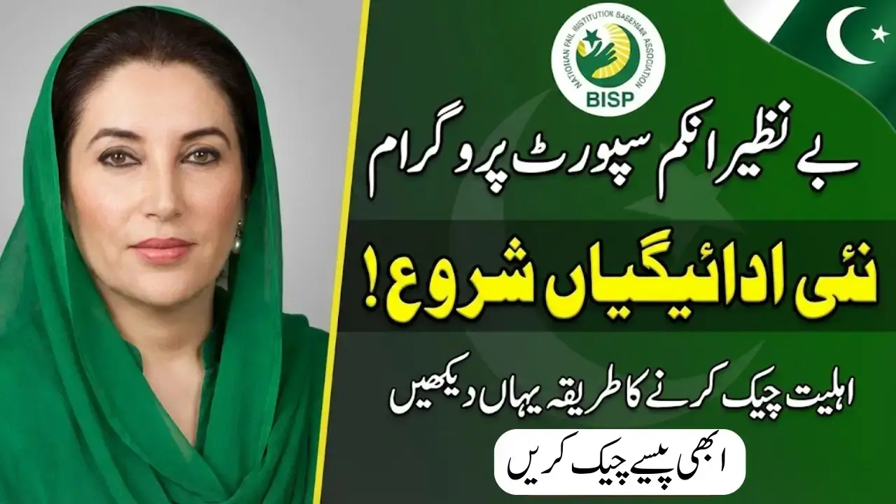 Benazir Income Support Program New Payment 2026 Check Online